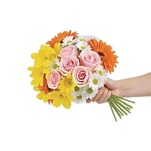 Petal Harmony Bliss