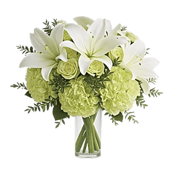 Ivory Blossom Radiance