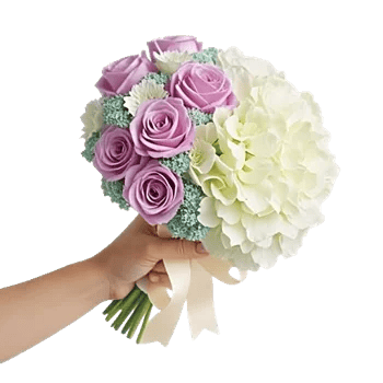 Ivory Garden Grace