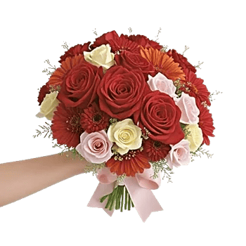 Blushing Rose Symphony