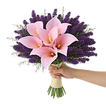 Elegant Calla Lilies