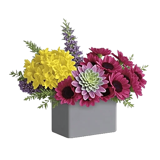 Minimalist White Orchids