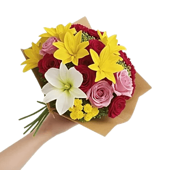 Blossom Harmony Display