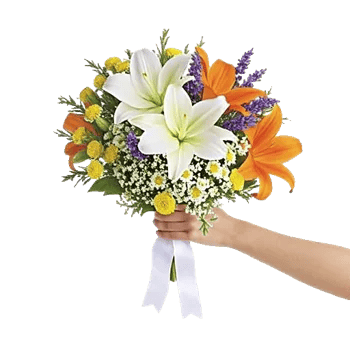 Delicate Petal Cascade