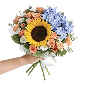 Blossom Petal Serenity