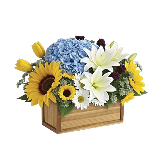 Blossom Harmony Display