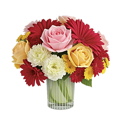 Petal Radiance Bliss