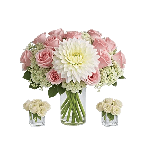 Ivory Blossom Radiance