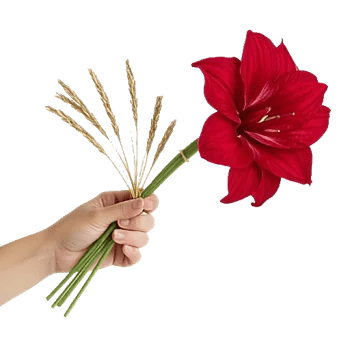 Crimson Blossom Harmony