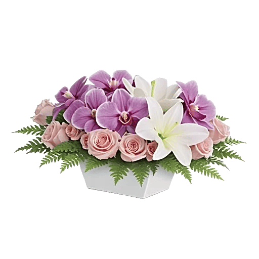 Minimalist White Orchids