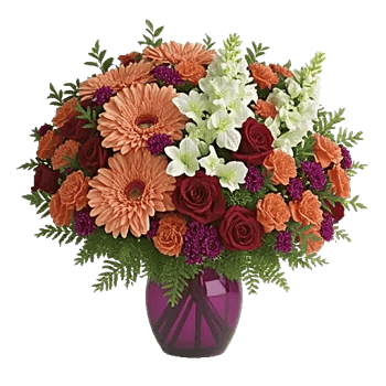 Petal Radiance Bliss