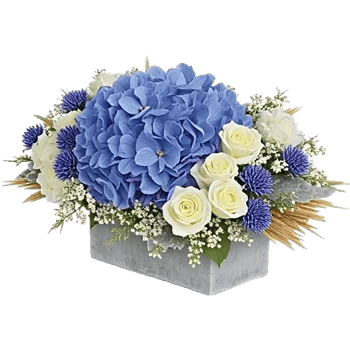 Sapphire Bloom Whisper