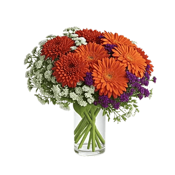 Ivory Blossom Radiance