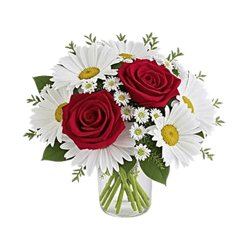 Tulip Rose Mix