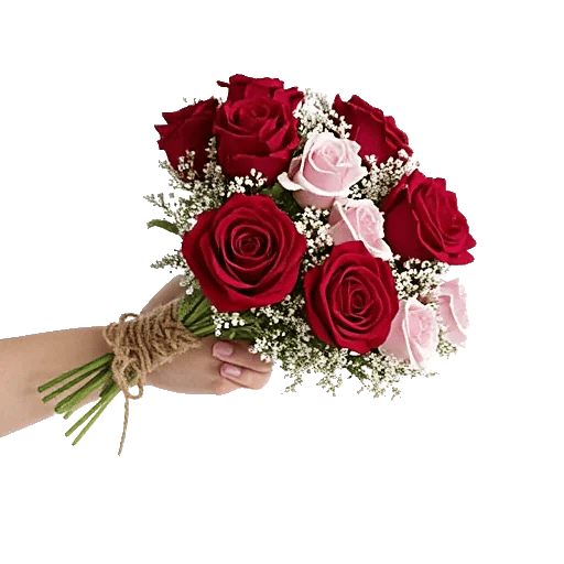 Crimson Rose Elegance