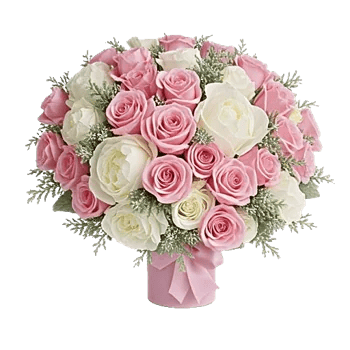 Pink Pastel Roses