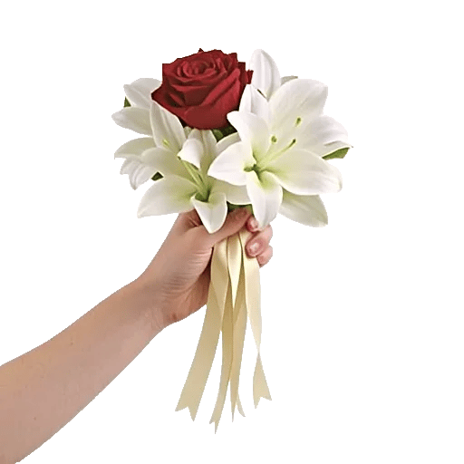 Delicate Petal Cascade