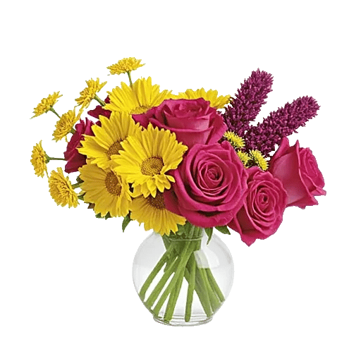 Petal Radiance Bliss