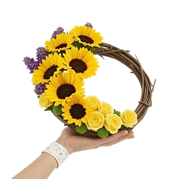 Amber Sunflower Glow