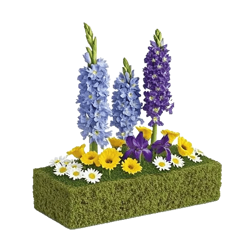 Serenity Blossom Grace