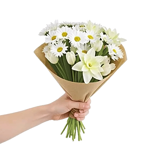 Blossom Harmony Display