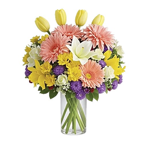 Petal Radiance Bliss