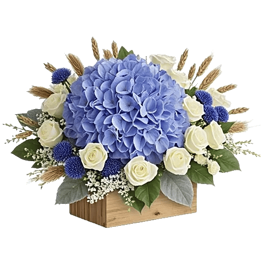 Serene Petal Harmony