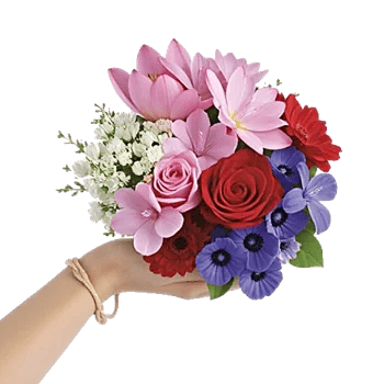 Blossom Petal Serenity