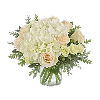 Serene Petal Harmony