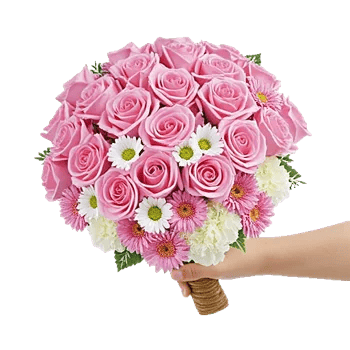 Pink Pastel Roses