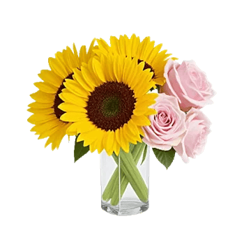 Radiant Bloom Cascade