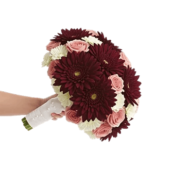 Ruby Petal Cascade
