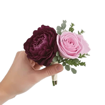 Plum Blossom Radiance