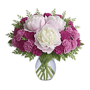 Petal Radiance Bliss