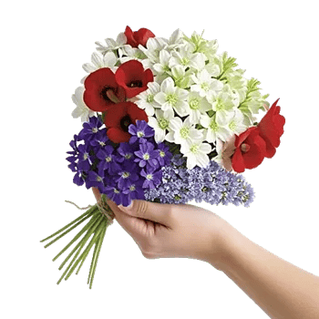 Graceful Lily Display