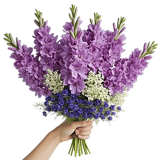 Lavender Bloom Grace