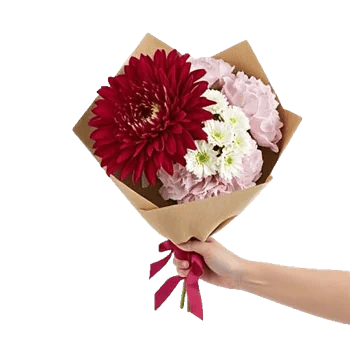 Crimson Blossom Harmony