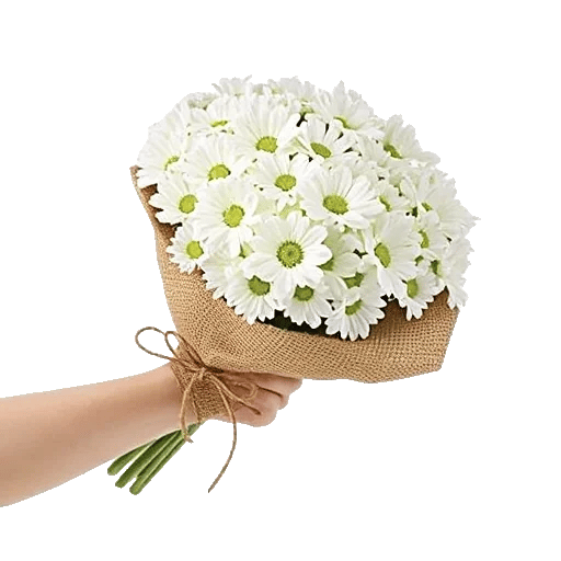Petal Harmony Bliss