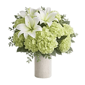 Ivory Blossom Radiance