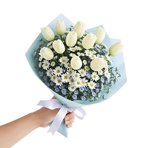 Serene Petal Harmony