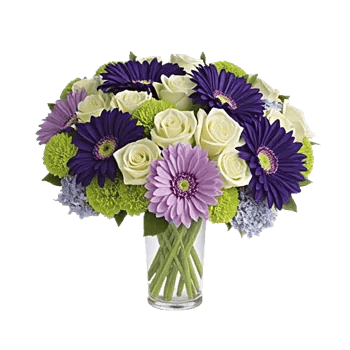 Ivory Blossom Radiance