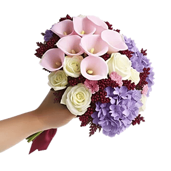 Elegant Calla Lilies