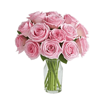 Pink Pastel Roses