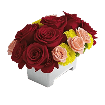 Crimson Rose Elegance