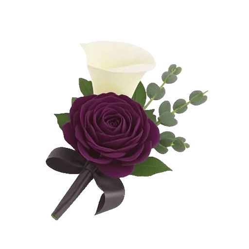 Elegant Calla Lilies