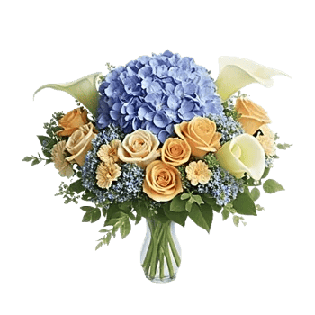 Sapphire Bloom Whisper