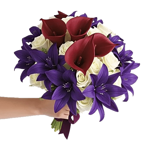 Elegant Calla Lilies