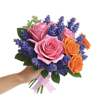 Pastel Pink Roses