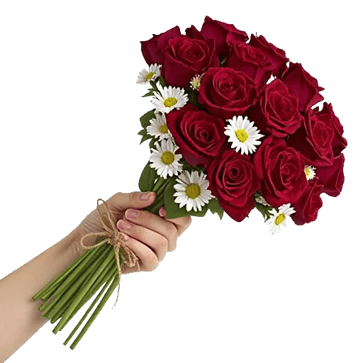 Crimson Rose Elegance