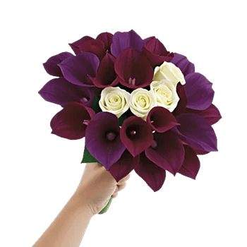 Elegant Calla Lilies